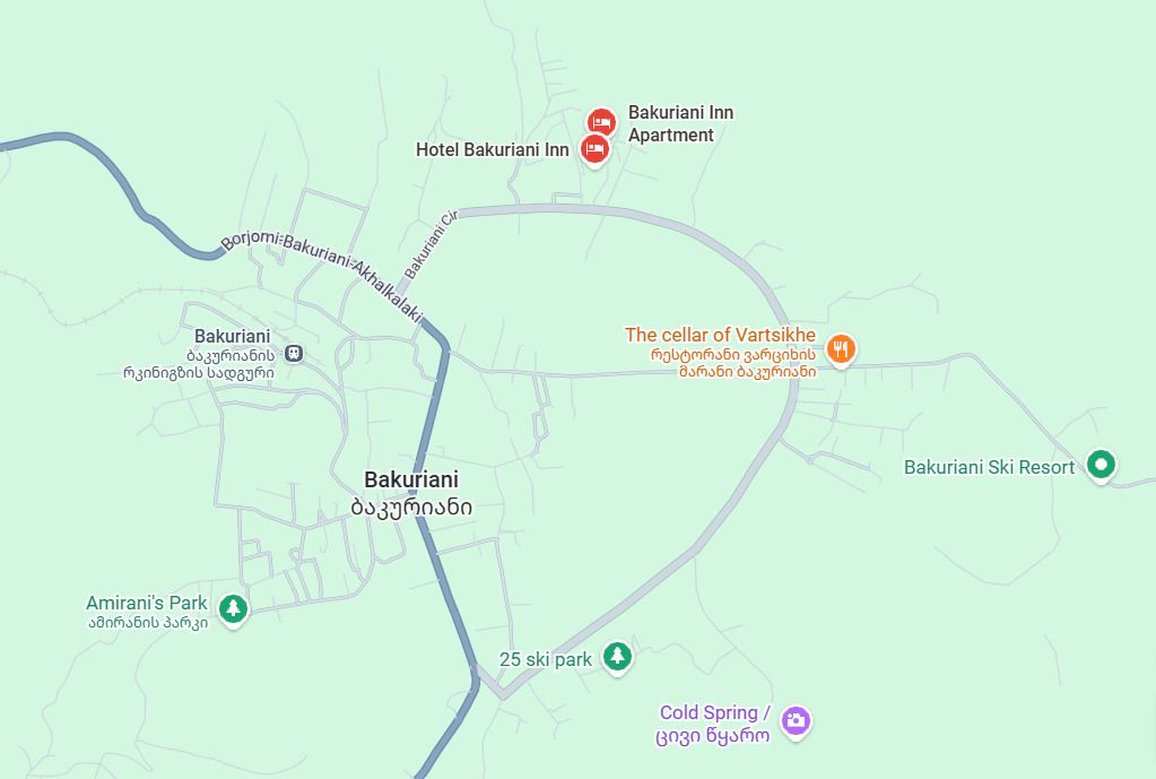 Bakuriani Inn 14/38