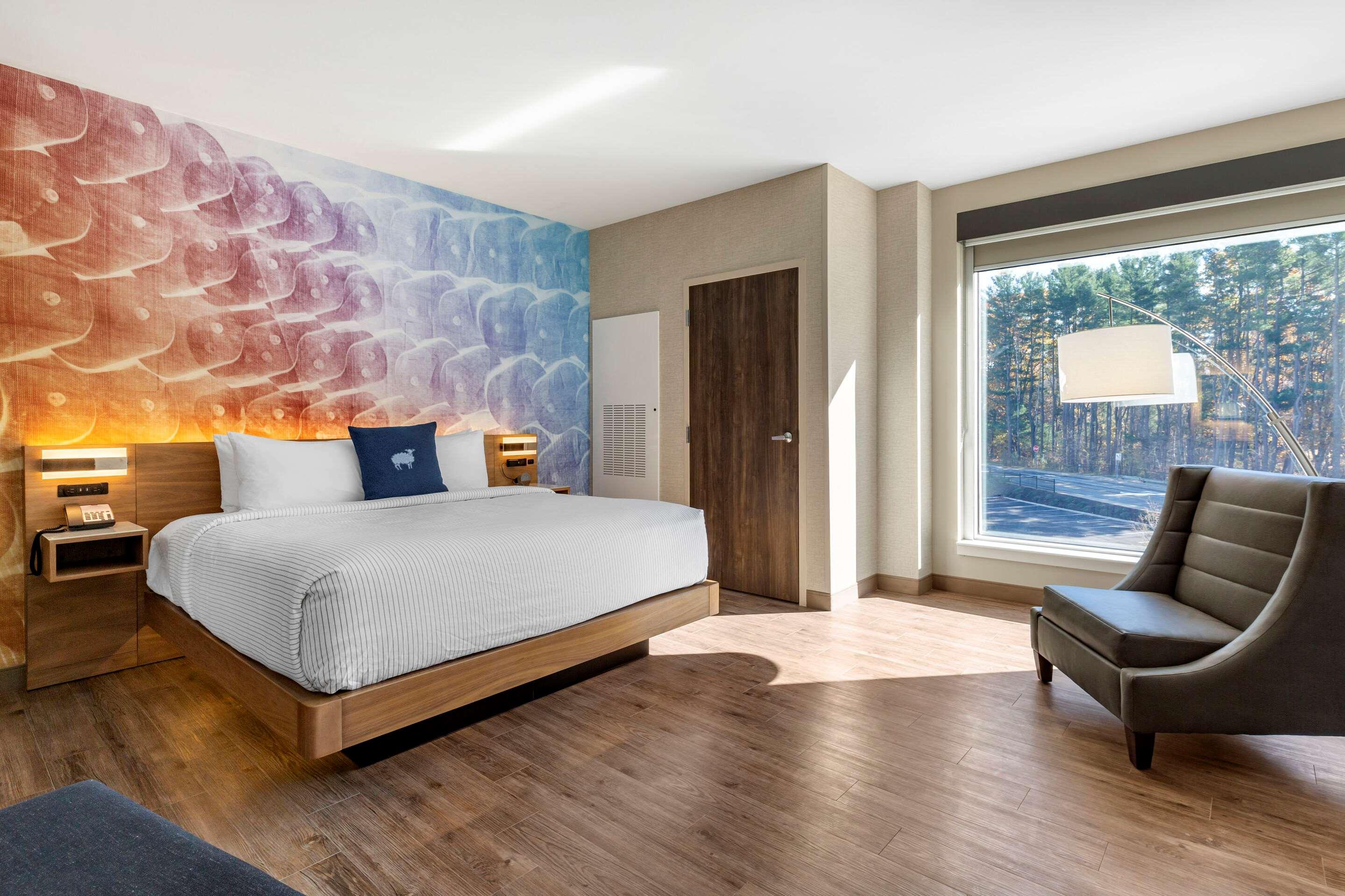 Efficiency, Suite, King Bed, Accessible