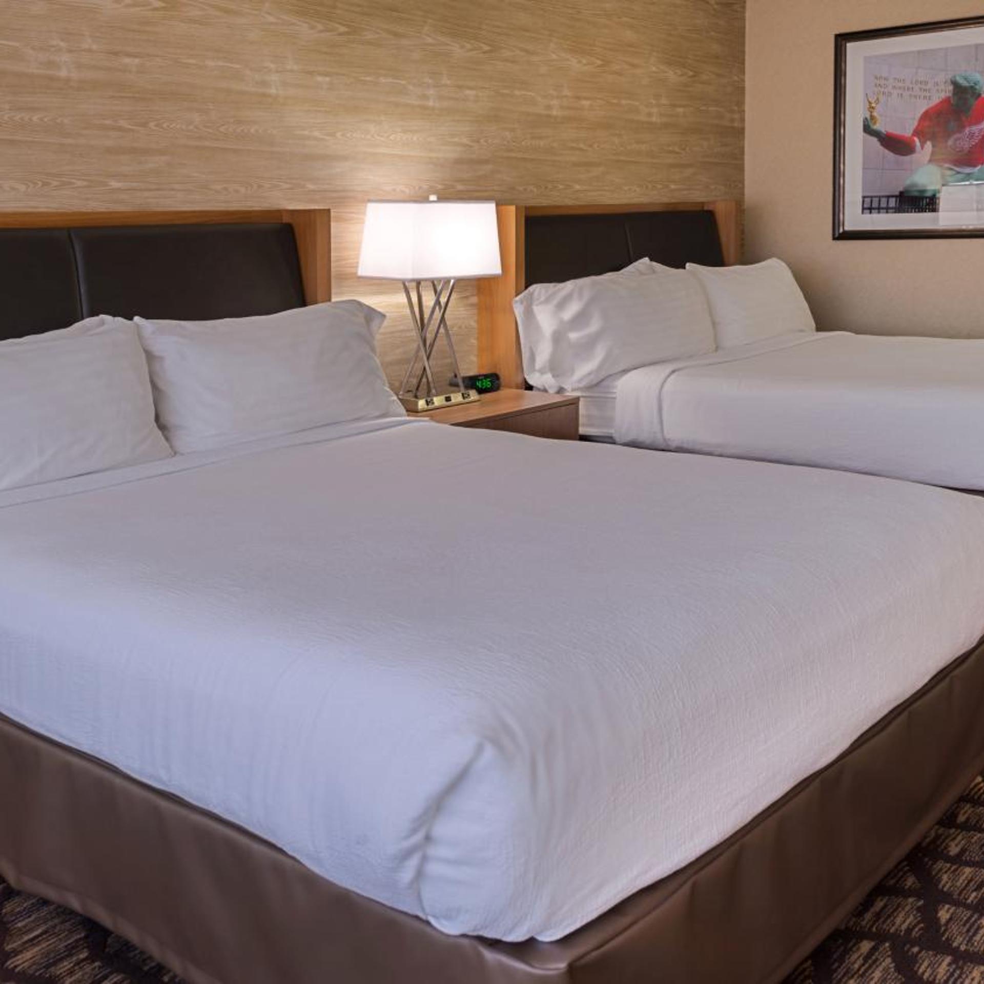 غرفة بسريرين منفصلين لذوي الإعاقة، Holiday Inn Hotel Suites Warren 4/6