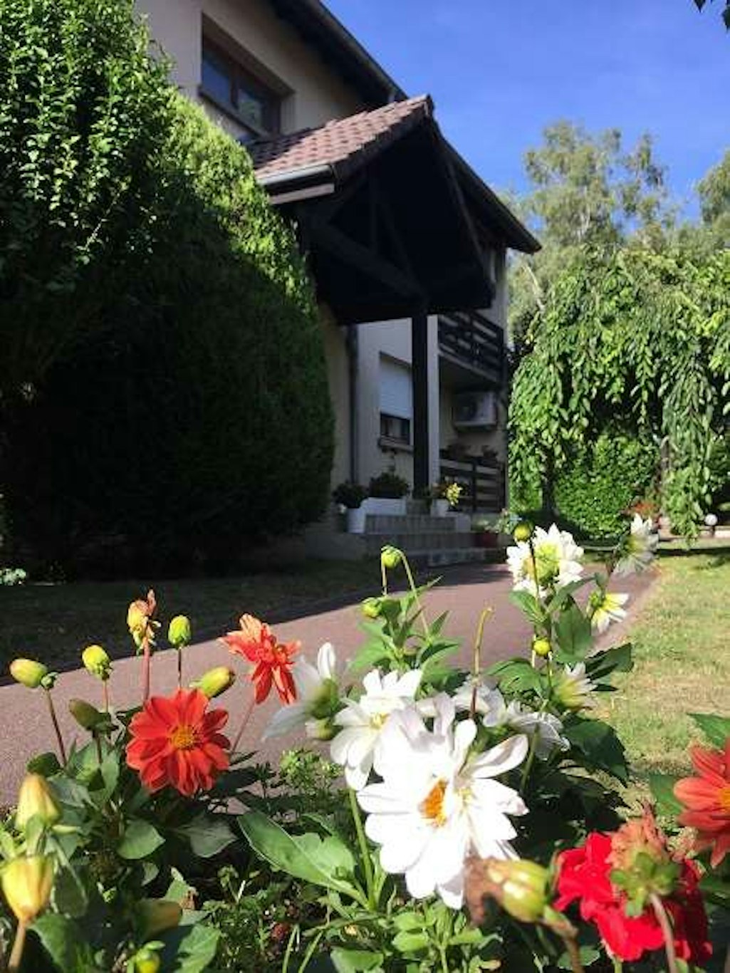 Hotel Les Tilleuls 9/10