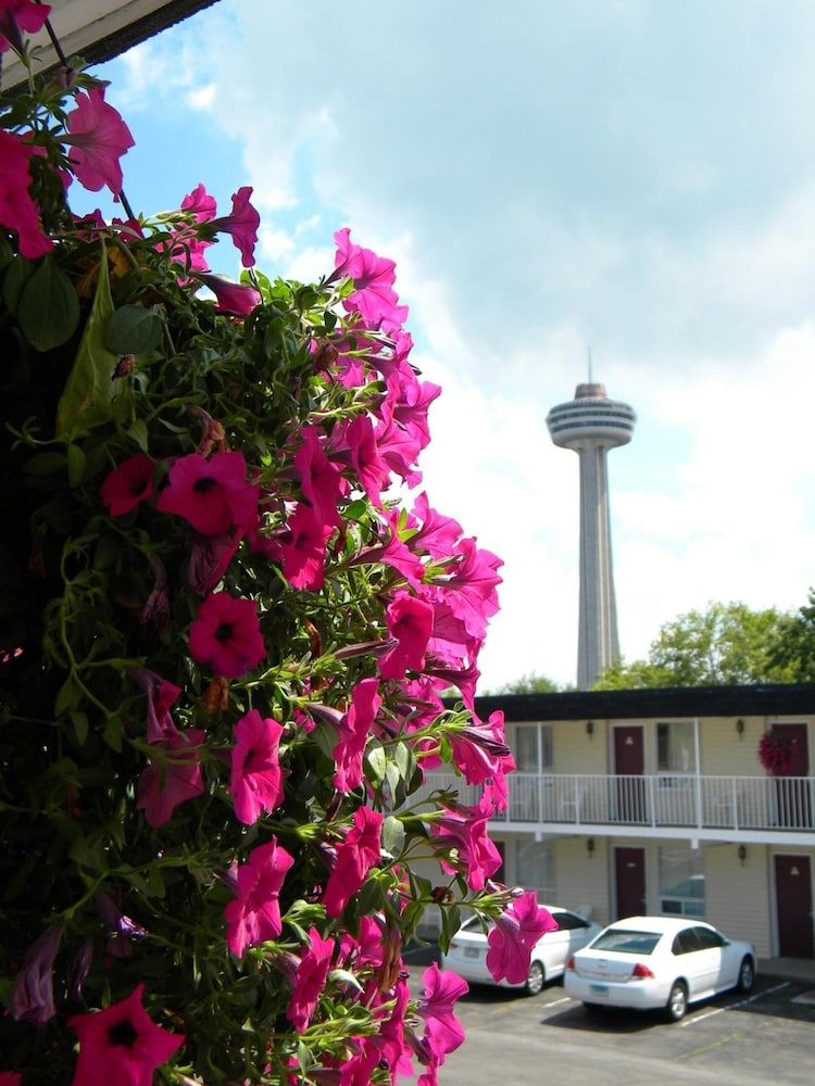 Fairway旅馆by the Falls(Fairway Inn by the Falls) 图片2