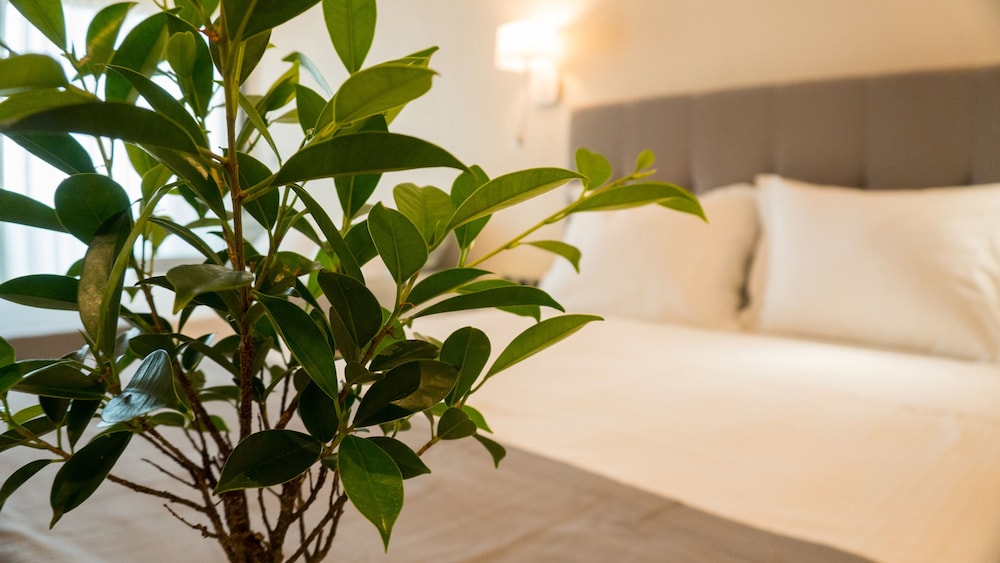 Costa Domus Blue Luxury Apartments 19/50