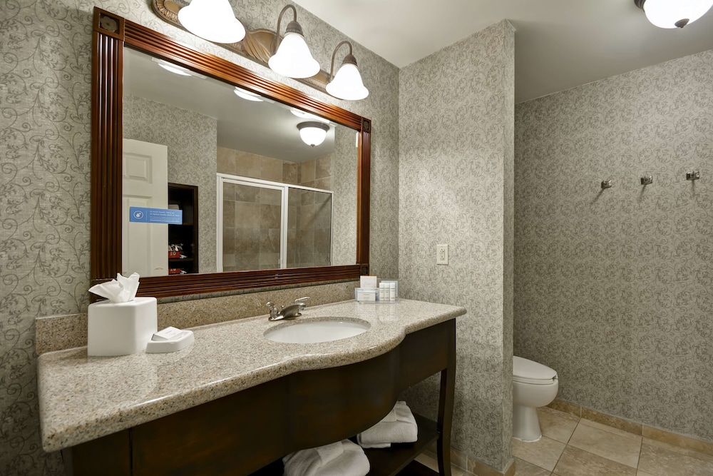 Hampton Inn and Suites Savannah Historic District 25/77