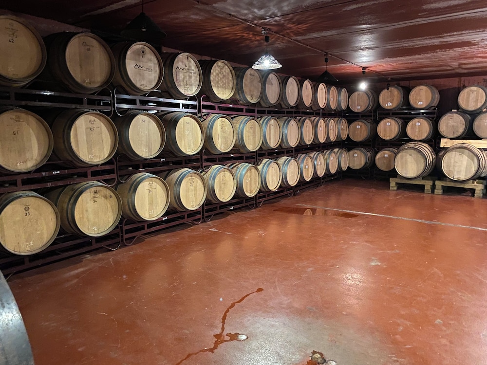 Hotel Finca Malvasia 38/60