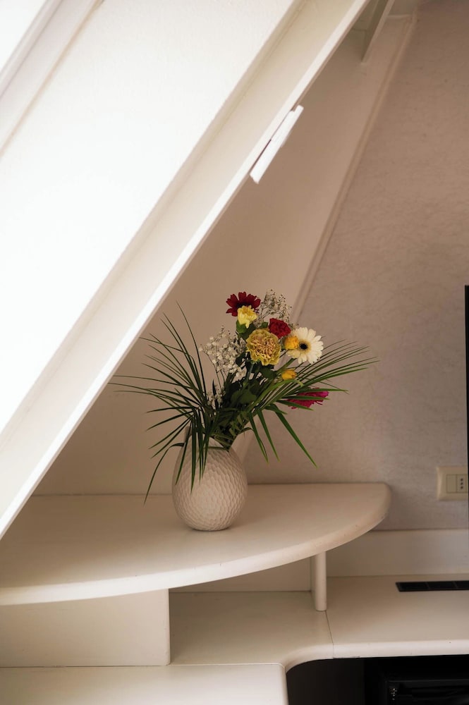 Axolute Comfort Hotel 24/50