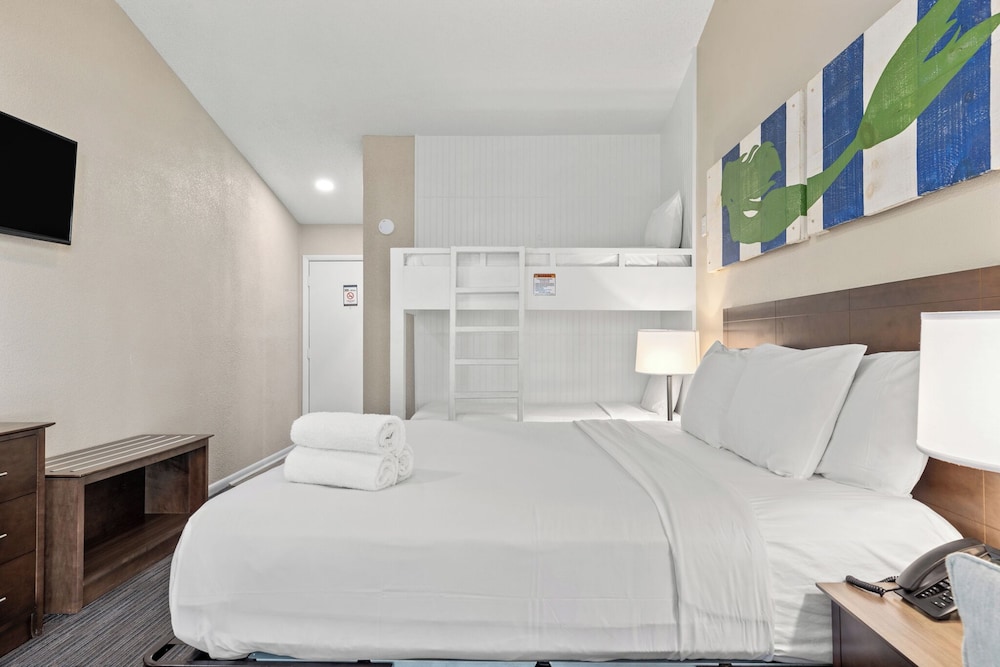 Studio, King Bed, Bunk Bed