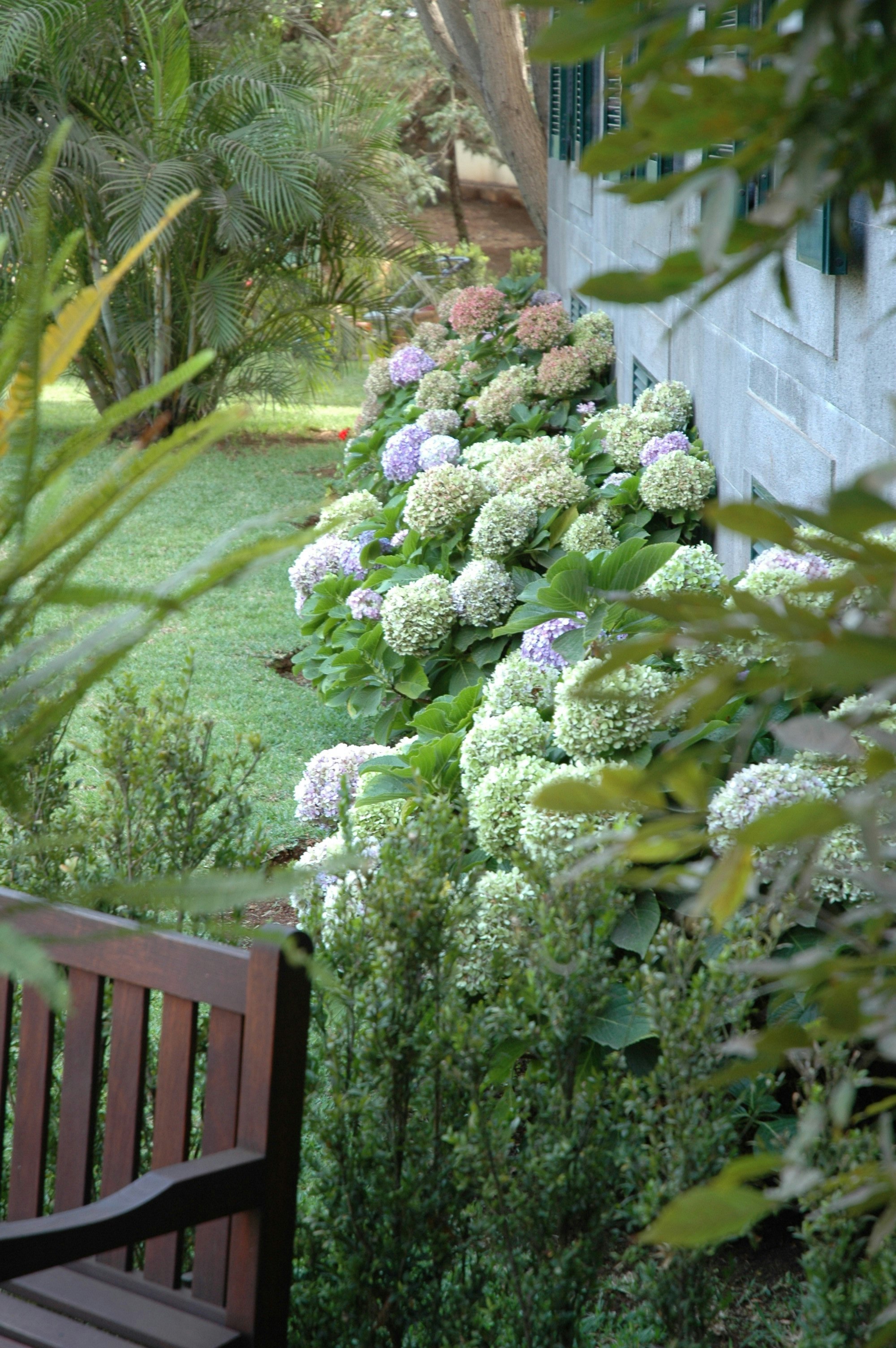 Quinta da Bela Vista 68/83