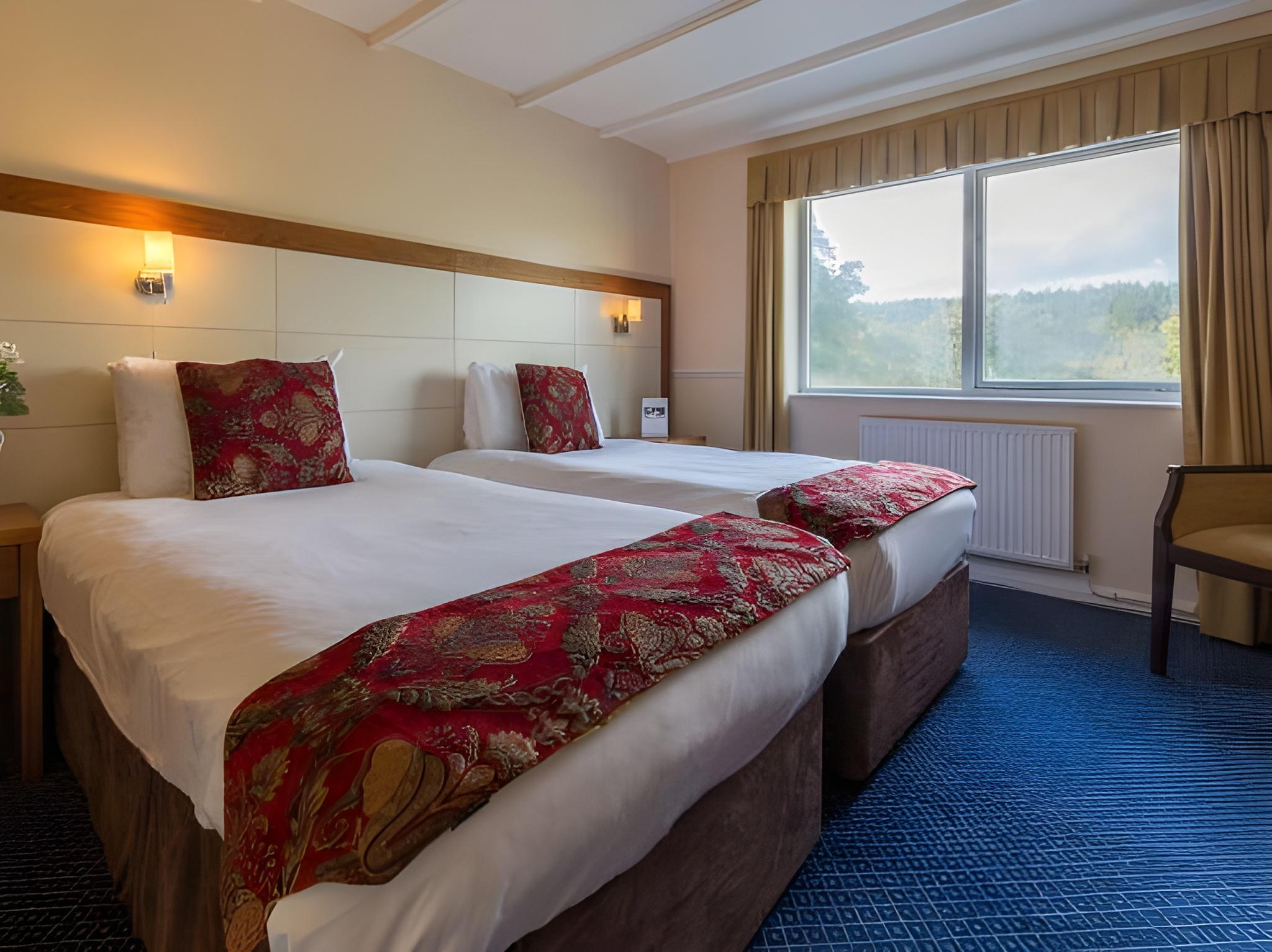 Room, Single Bed