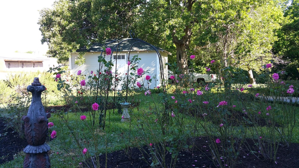 Fig Tree Manor 33/45