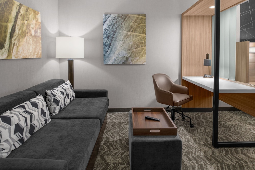 SpringHill Suites by Marriott Riverside Redlands 17/36