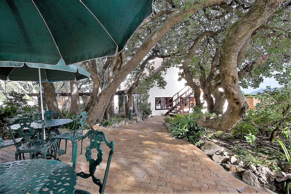 Milkwood Lodge Hermanus 10/35
