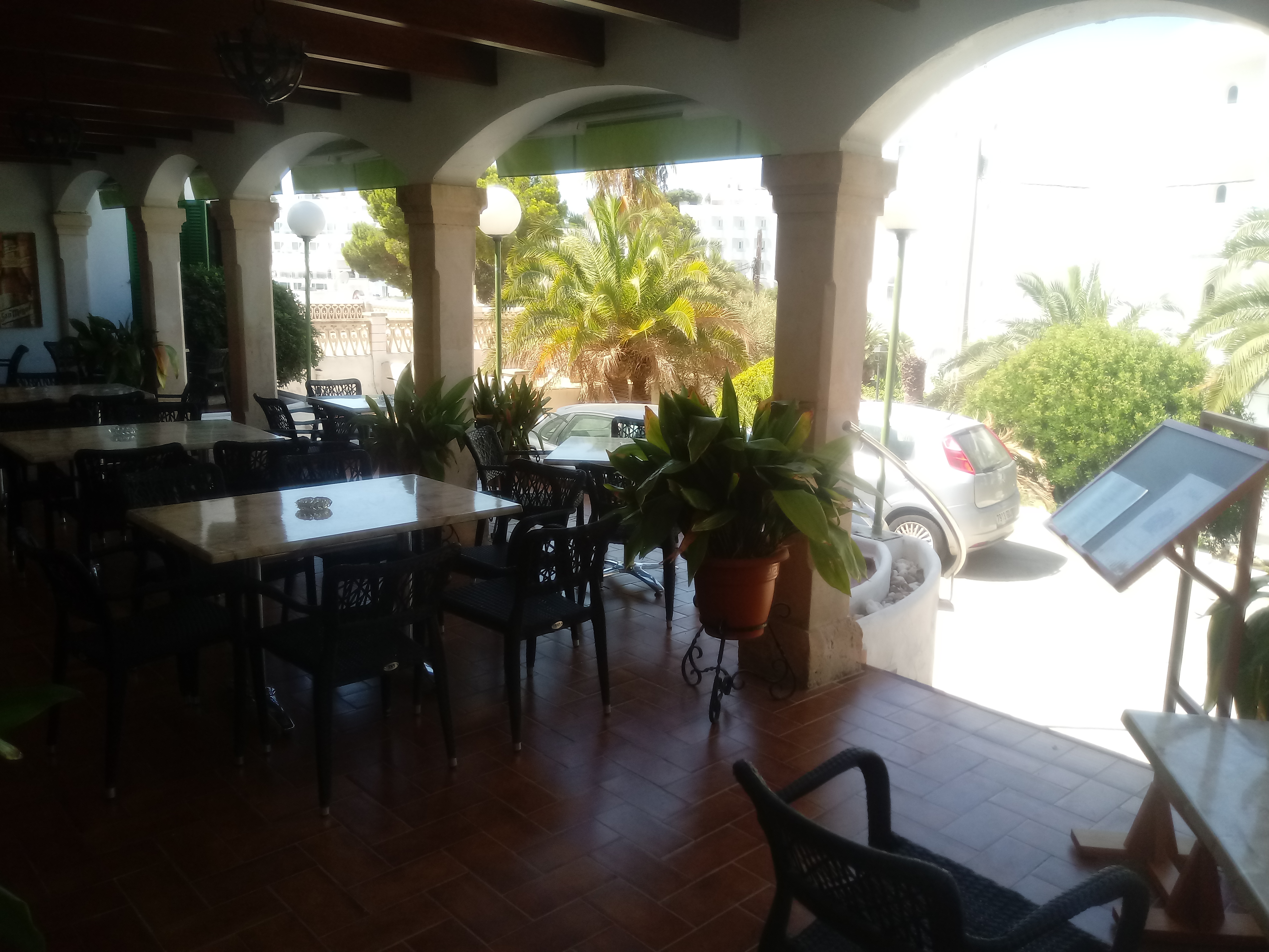 Oasis D'or 16/24
