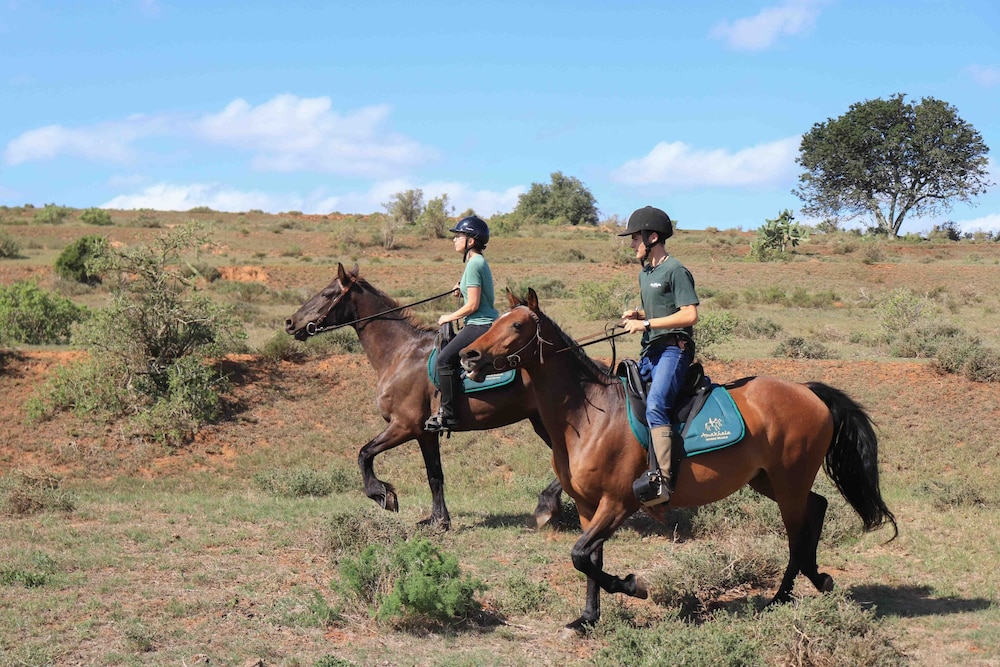 Amakhala Woodbury Tented Camp 17/33