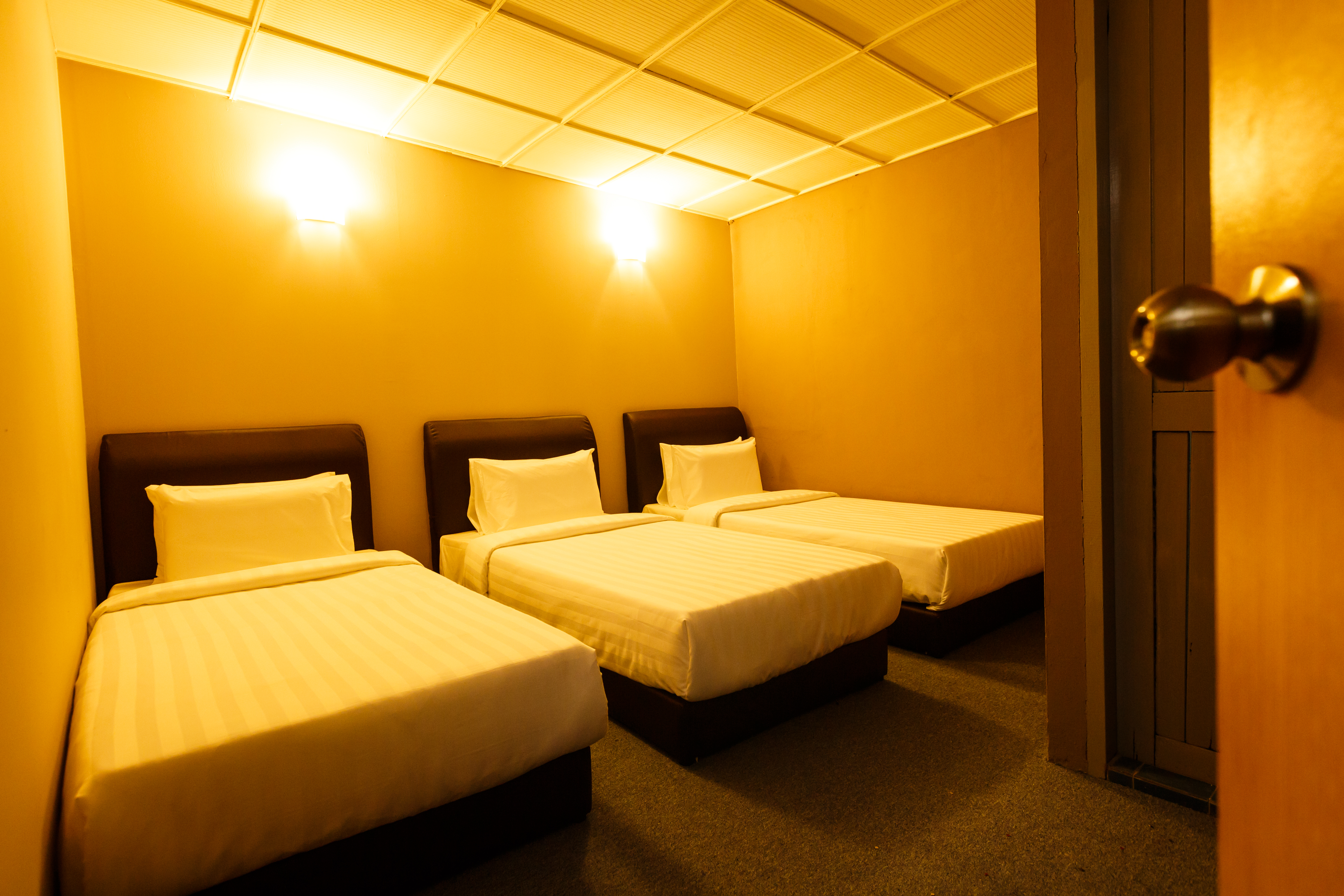 Rainforest Budget Stay 24/39