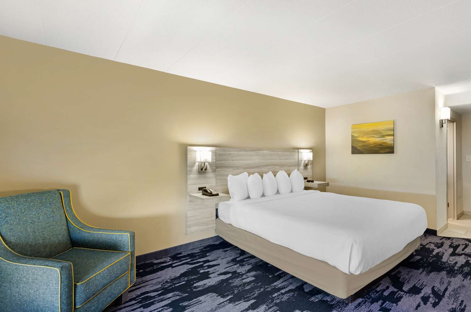 Room, King Bed, Bathtub, Accessible