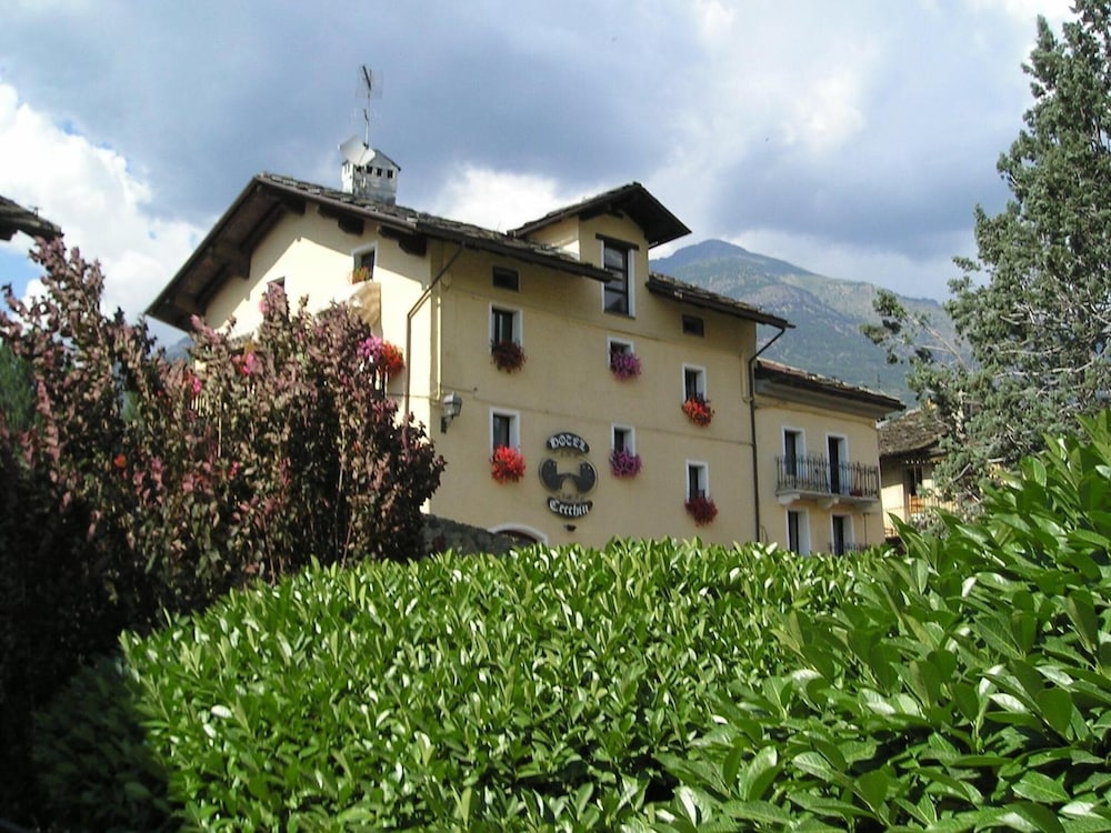 Hotel Cecchin 5/37