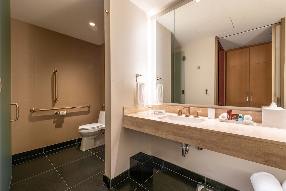 Residence Inn Chicago Downtown Magnificent Mile 44/50
