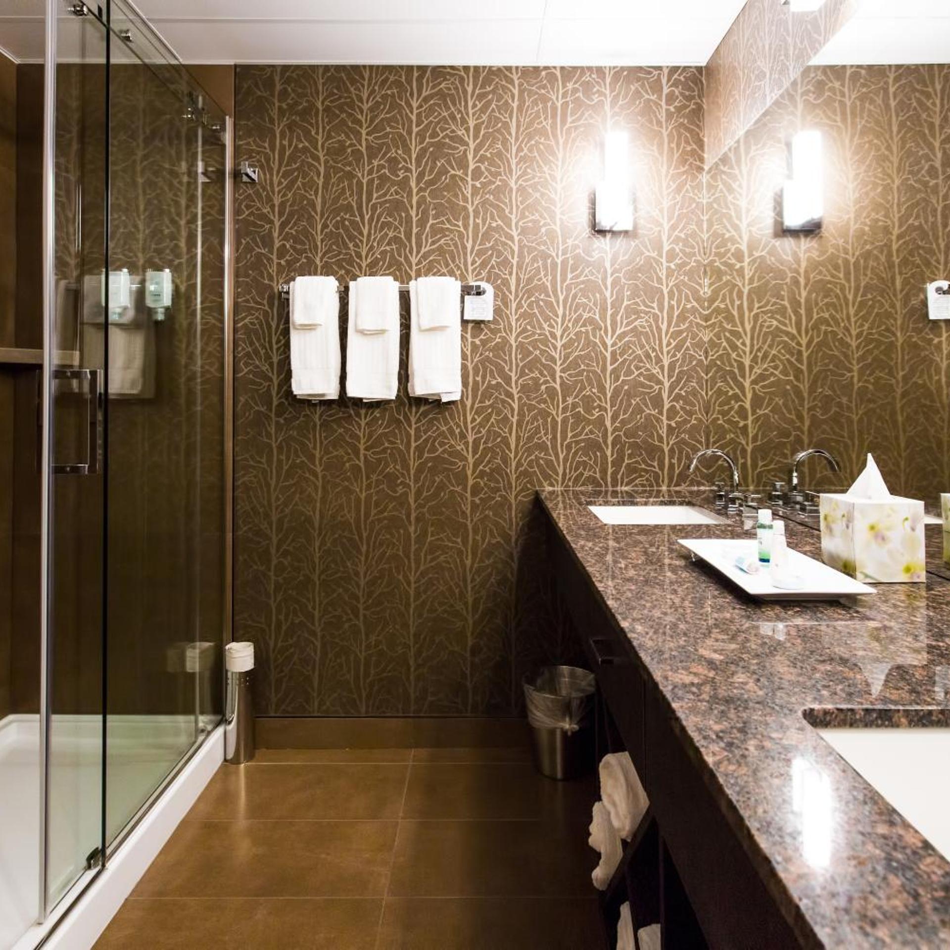 Summit, King Bed، Hotel Blackfoot 10/10