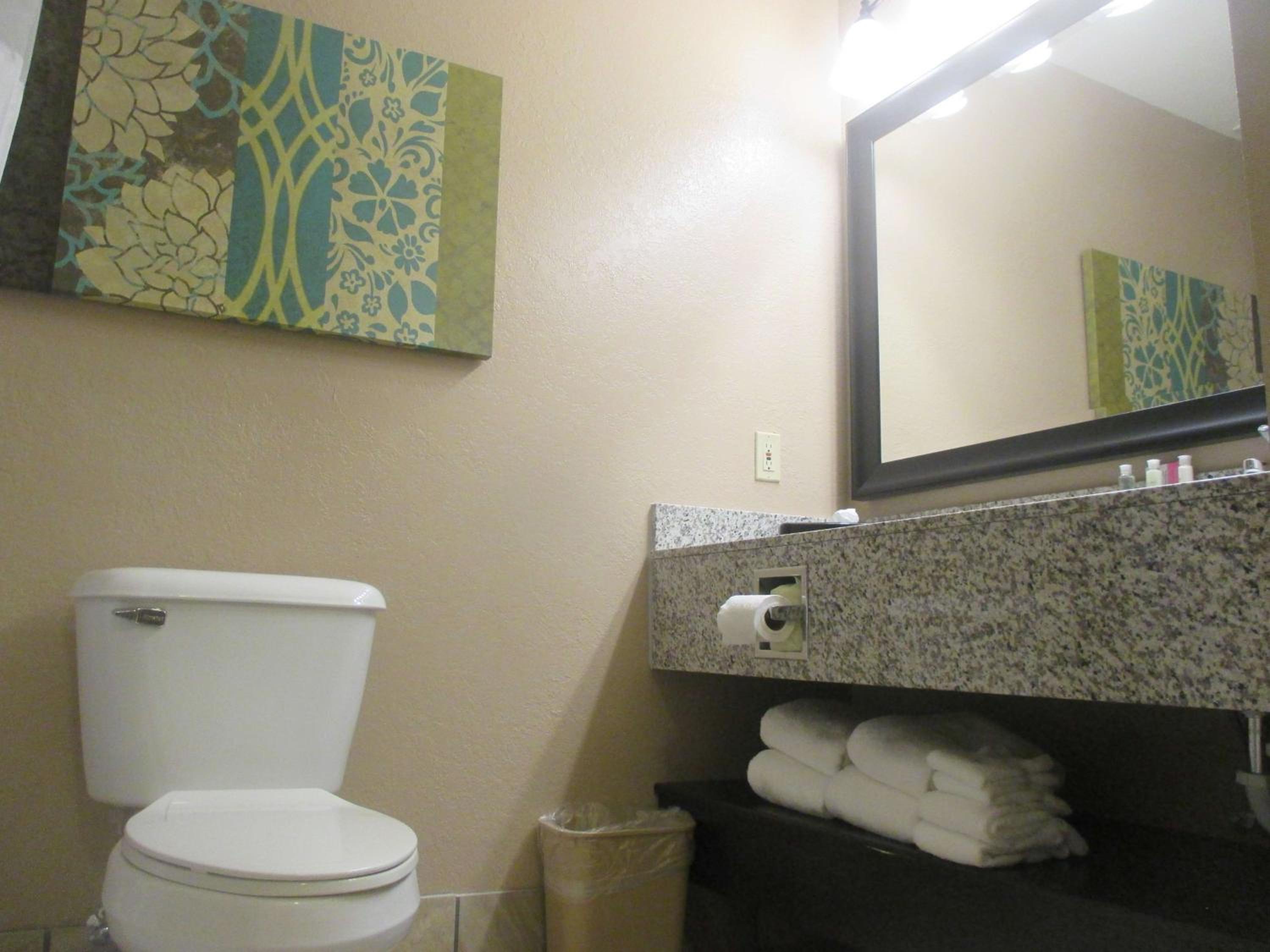 جناح بسرير كينج لذوي الإعاقة، Best Western Plus Menomonie Inn & Suites 10/10
