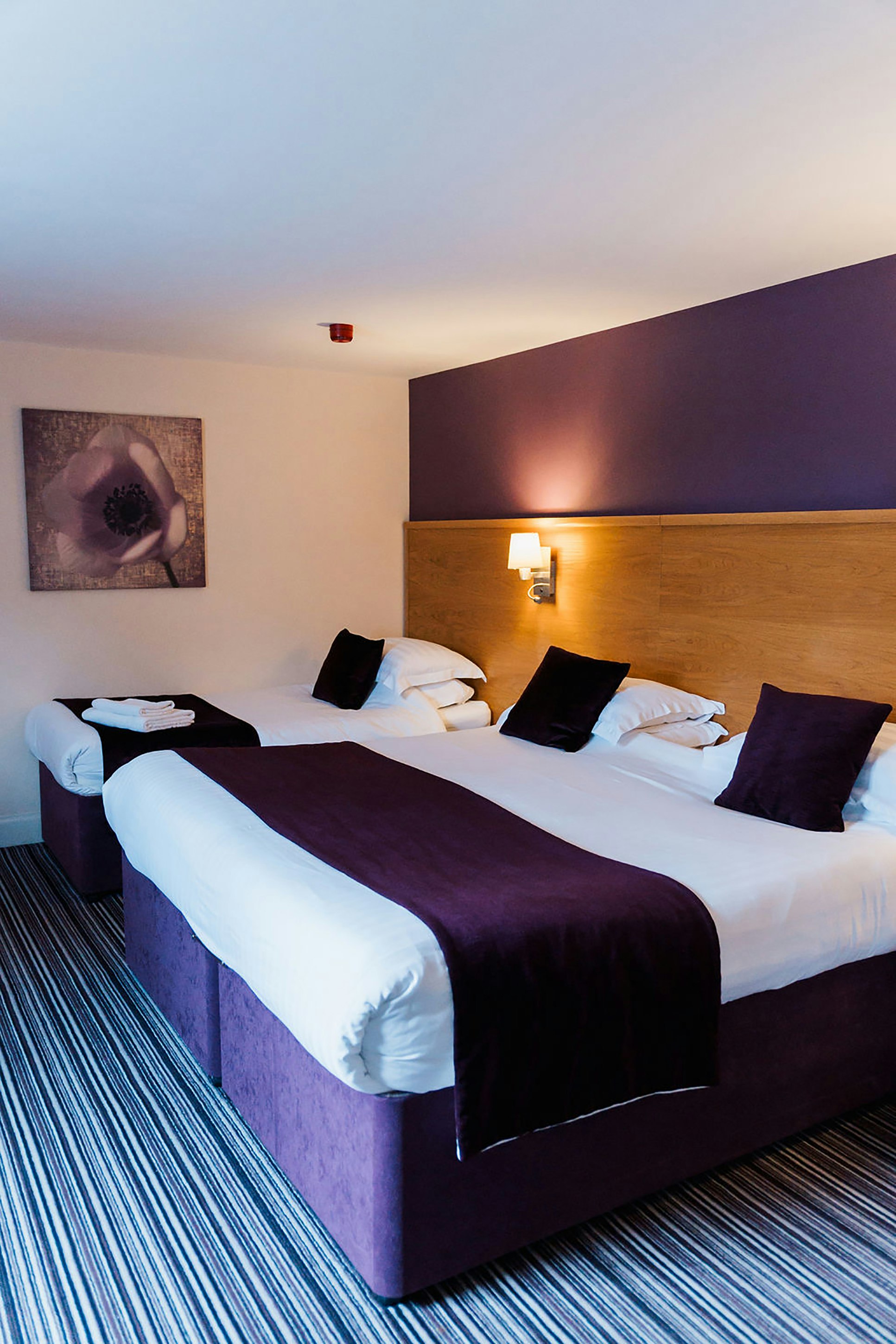 Family, 1 Double and 1 Single Bed