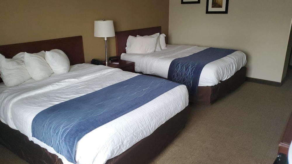 Room at Cambridge Inn by Capital O near I 70 or I 77, CAMBRIDGE - OH