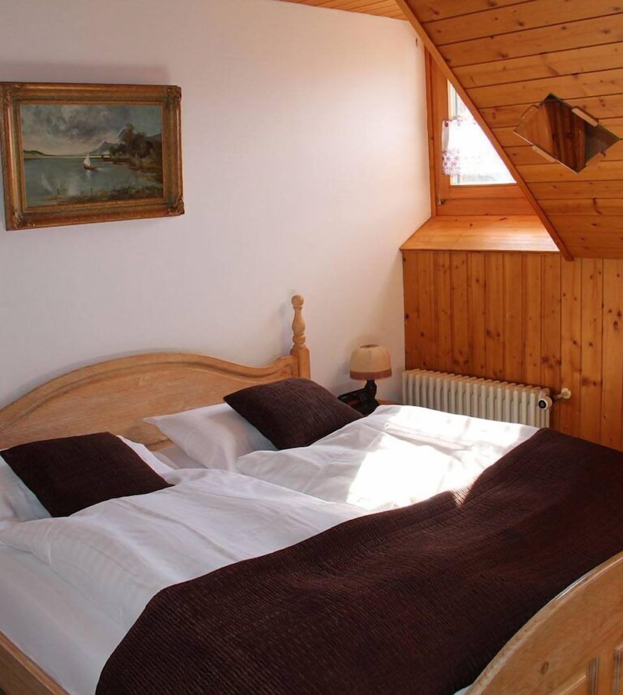 Historic Hotel Steinbock 13/50