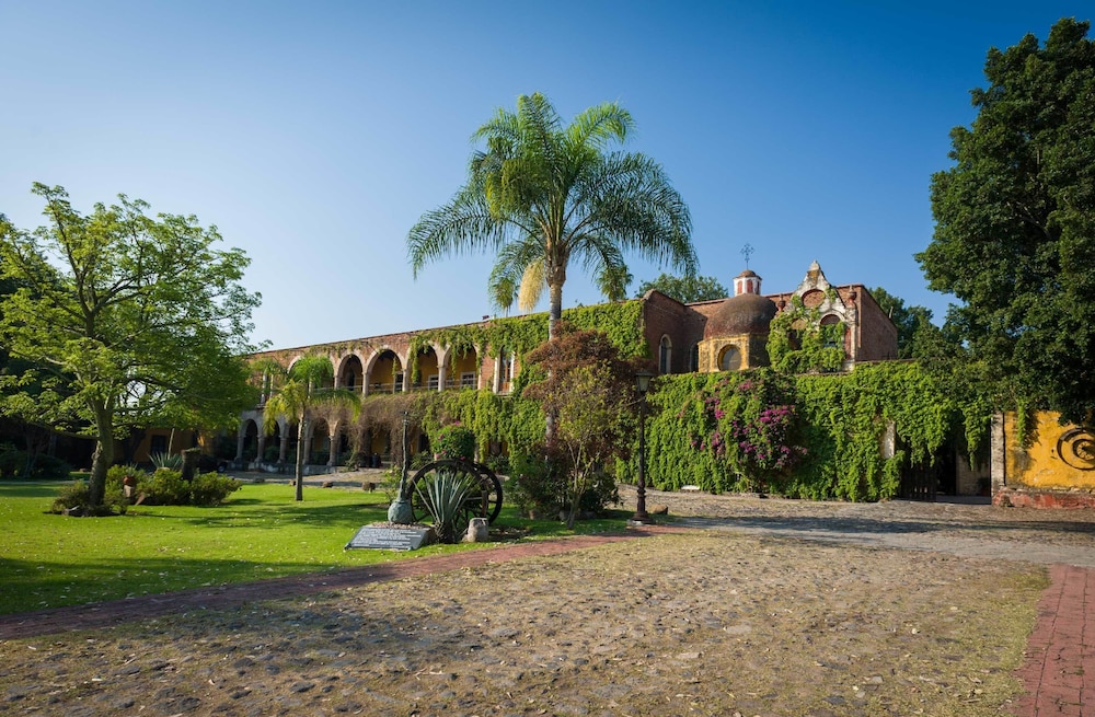 Hacienda El Carmen Hotel and Spa 42/50