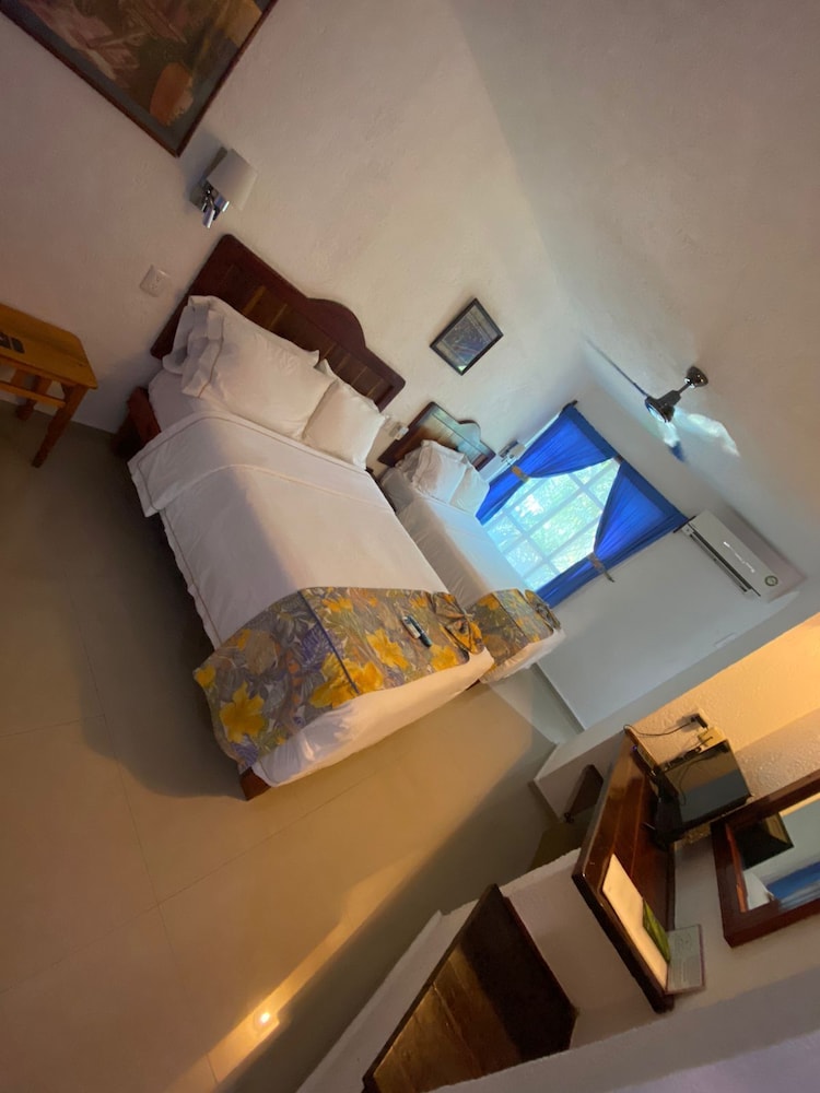 Eco Hotel El Rey del Caribe 11/50