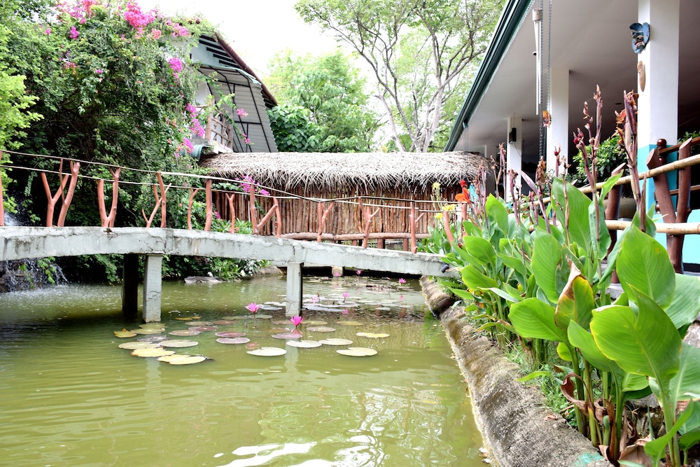 Hungry Lion Resort 40/43