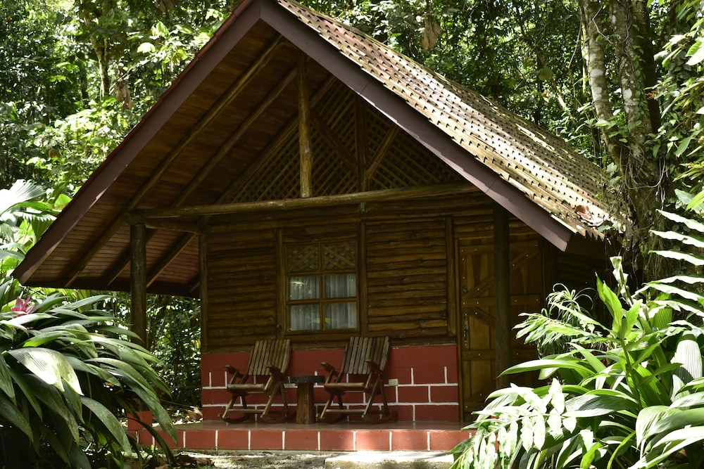 Arenal Oasis 2/50