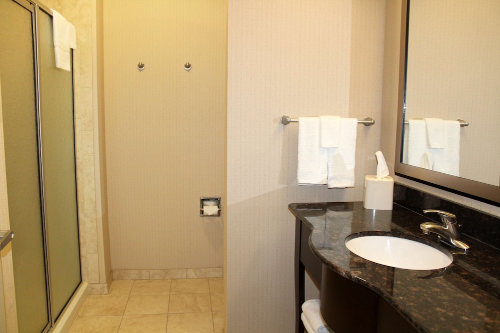 Hampton Inn Suites Mount Pleasant 19/61