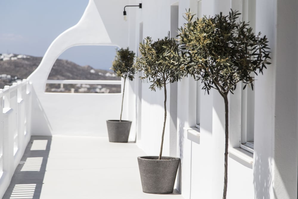 My Mykonos Hotel in MYKONOS