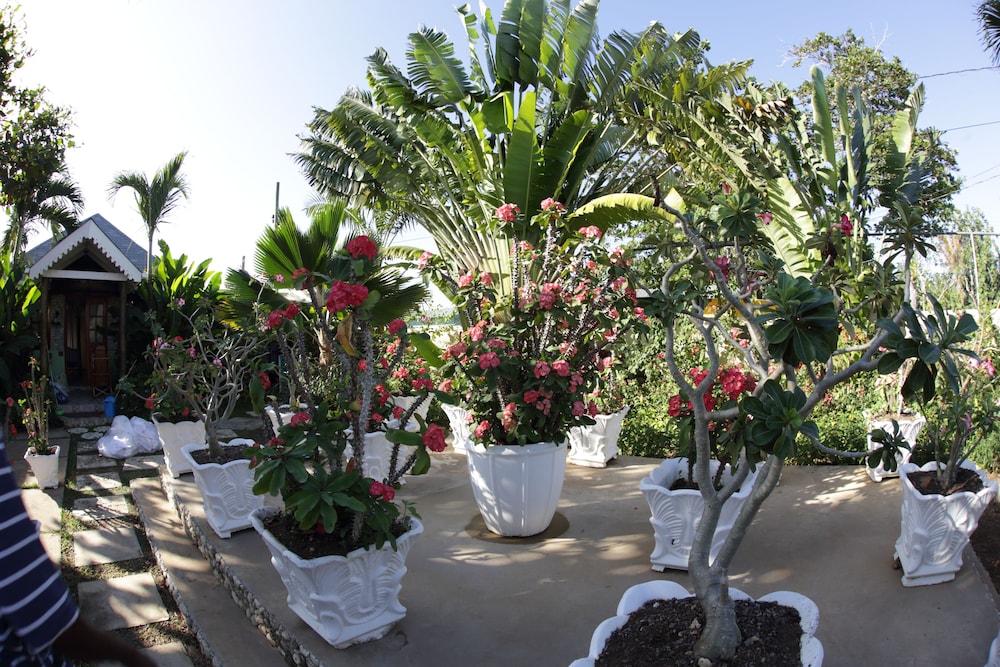 Negril Palms 49/55