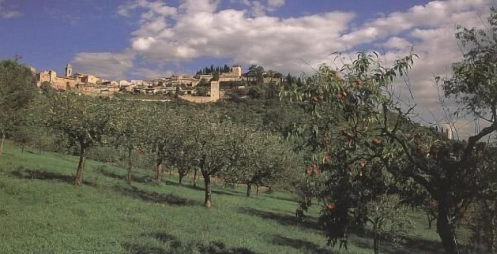Palazzo Bocci 34/46