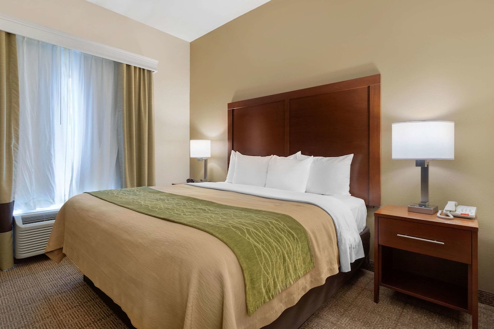 Comfort Inn and Suites Port Arthur Port Neches 10/33