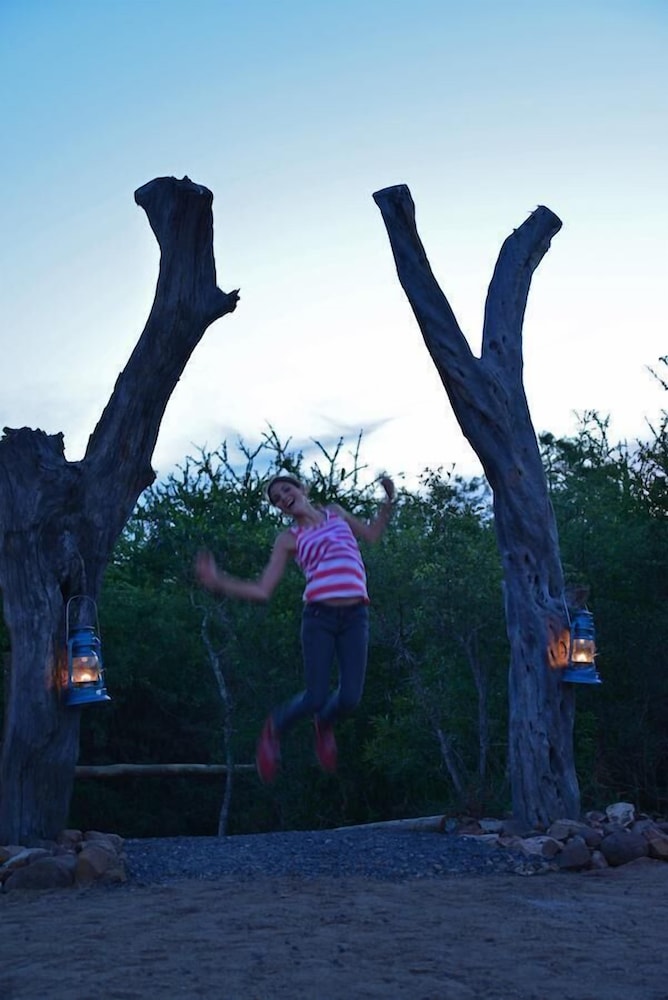 Wild Olive Tree Camp 11/20