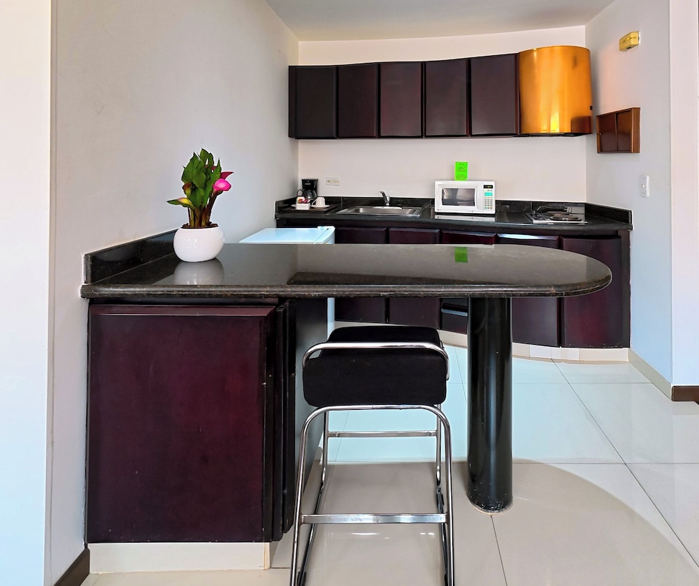 Hotel Sercotel Richmond Suites 8/50