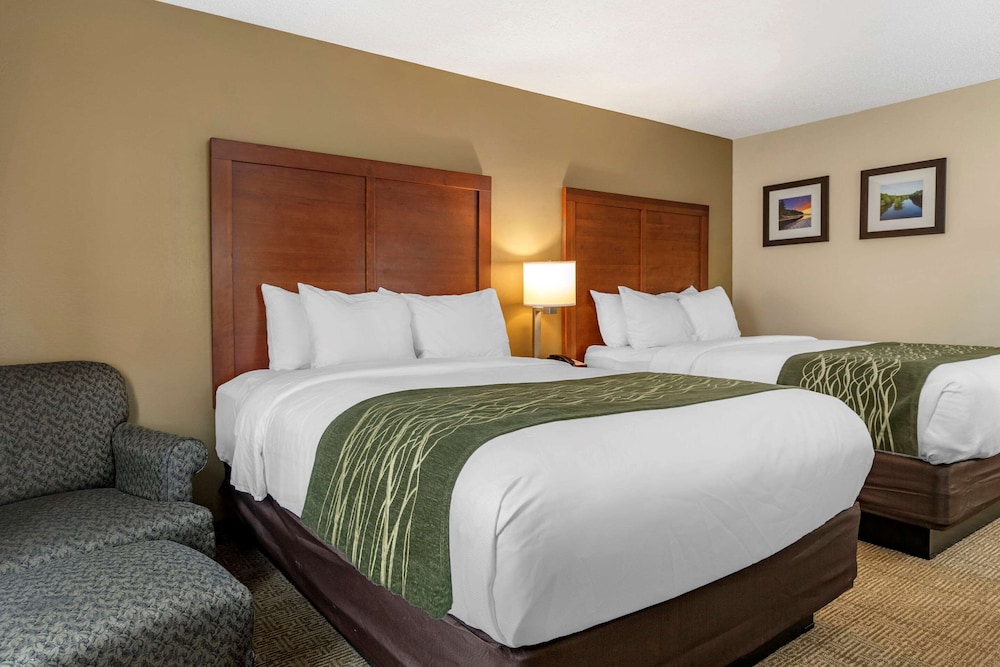 Comfort Inn Suites Dimondale Lansing 16/35