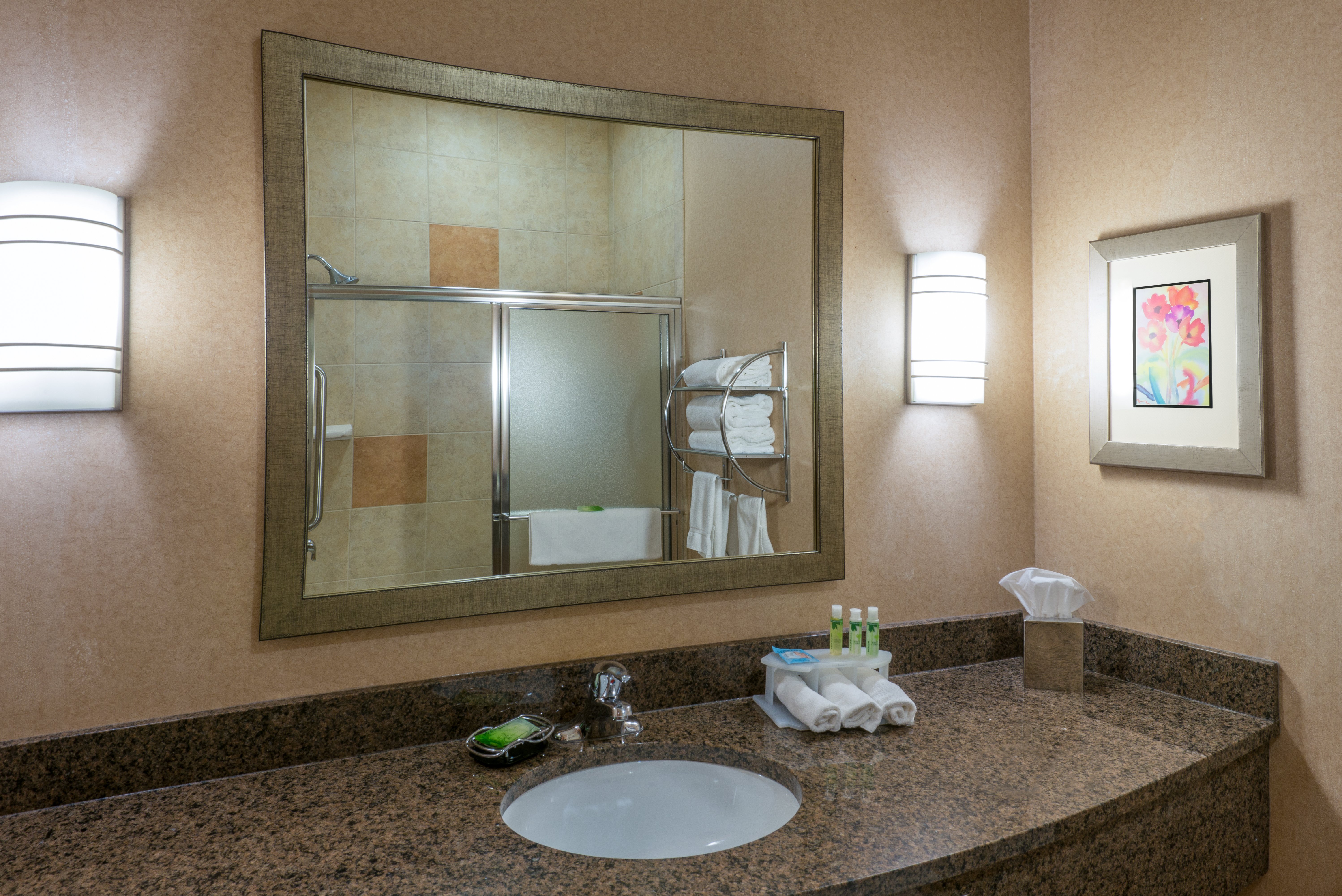 Holiday Inn Express Hotel & Suites Vernal - Dinosaurland 74/77