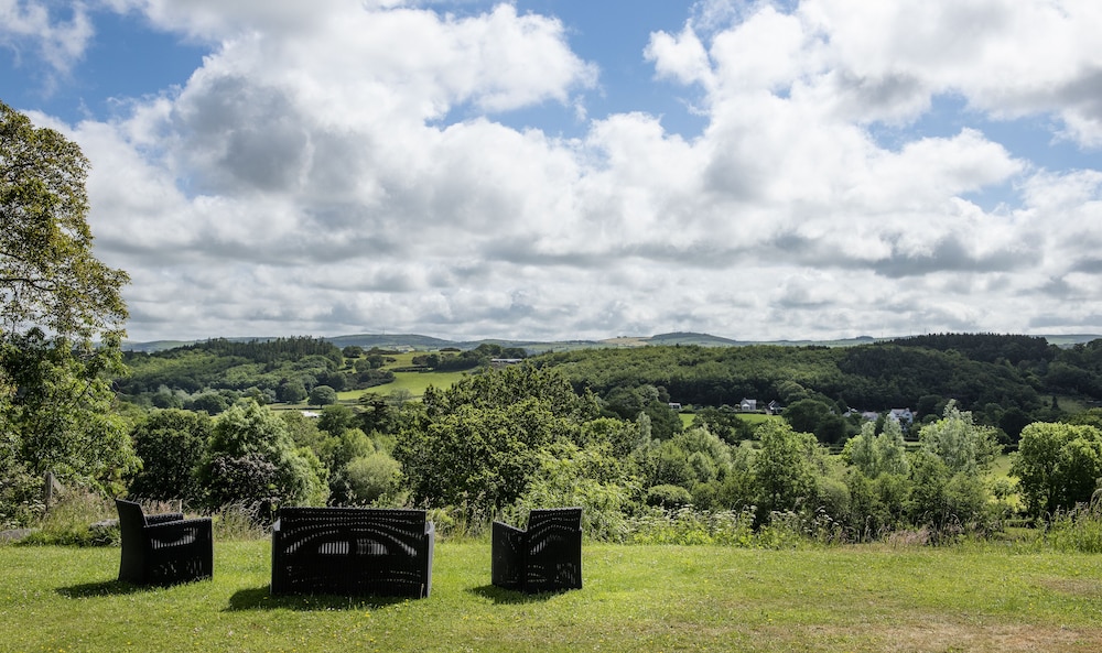 Coed Mawr Hall 29/36
