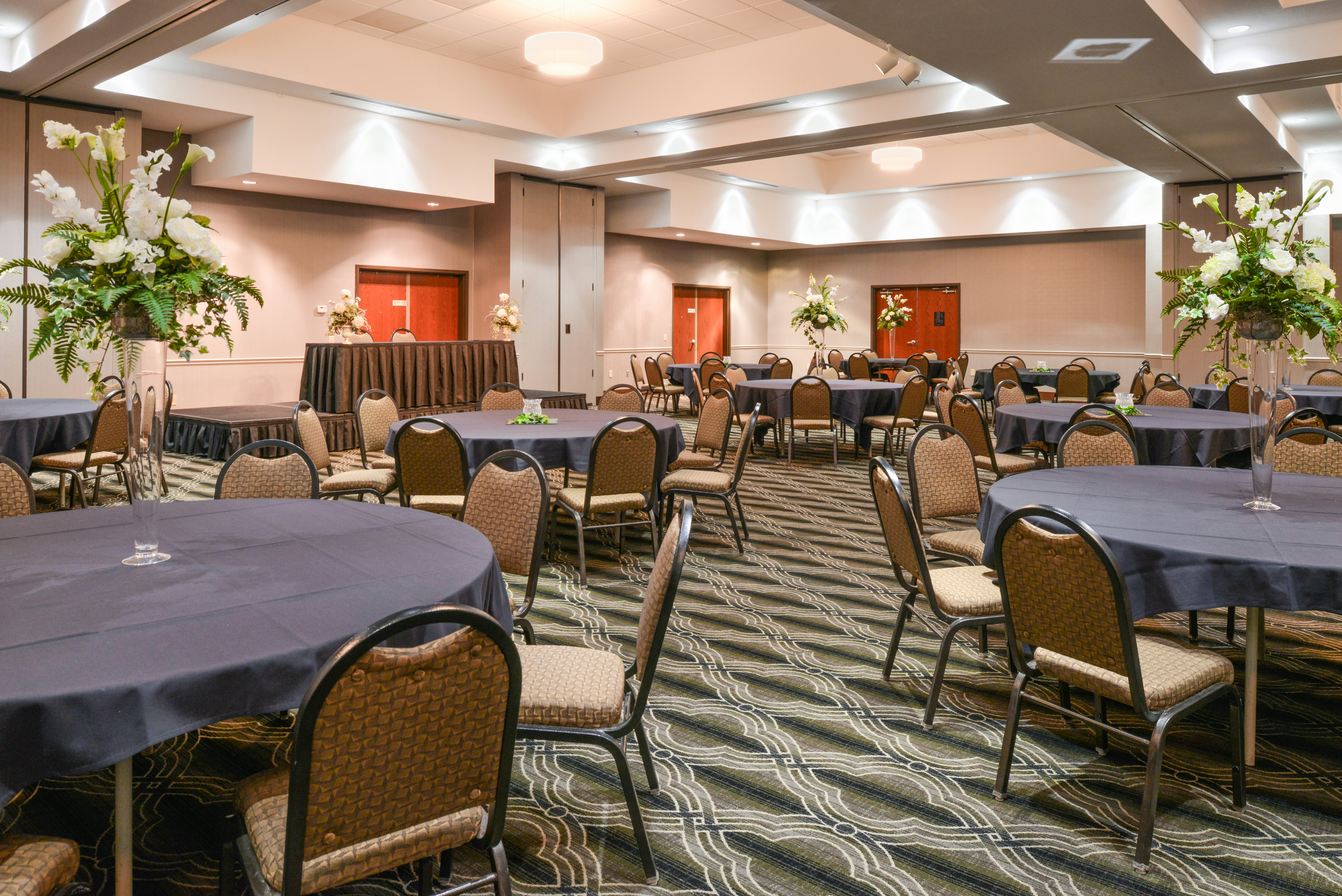 Holiday Inn Poplar Bluff an IHG Hotel 54/73