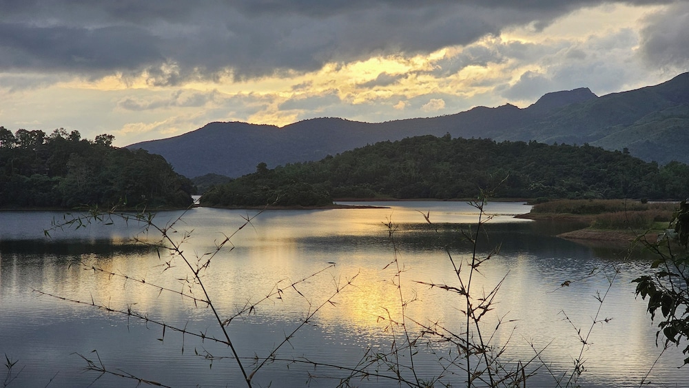 WAYANAD SILVERWOODS RESORT 53/55