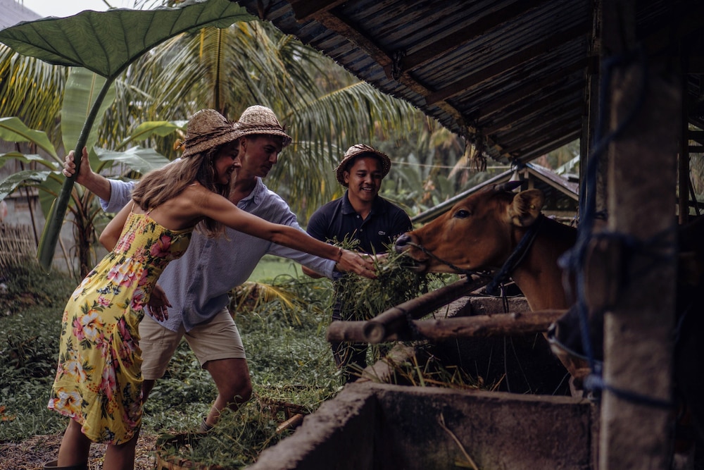 Maar Resort Ubud by Ini Vie Hospitality 52/81