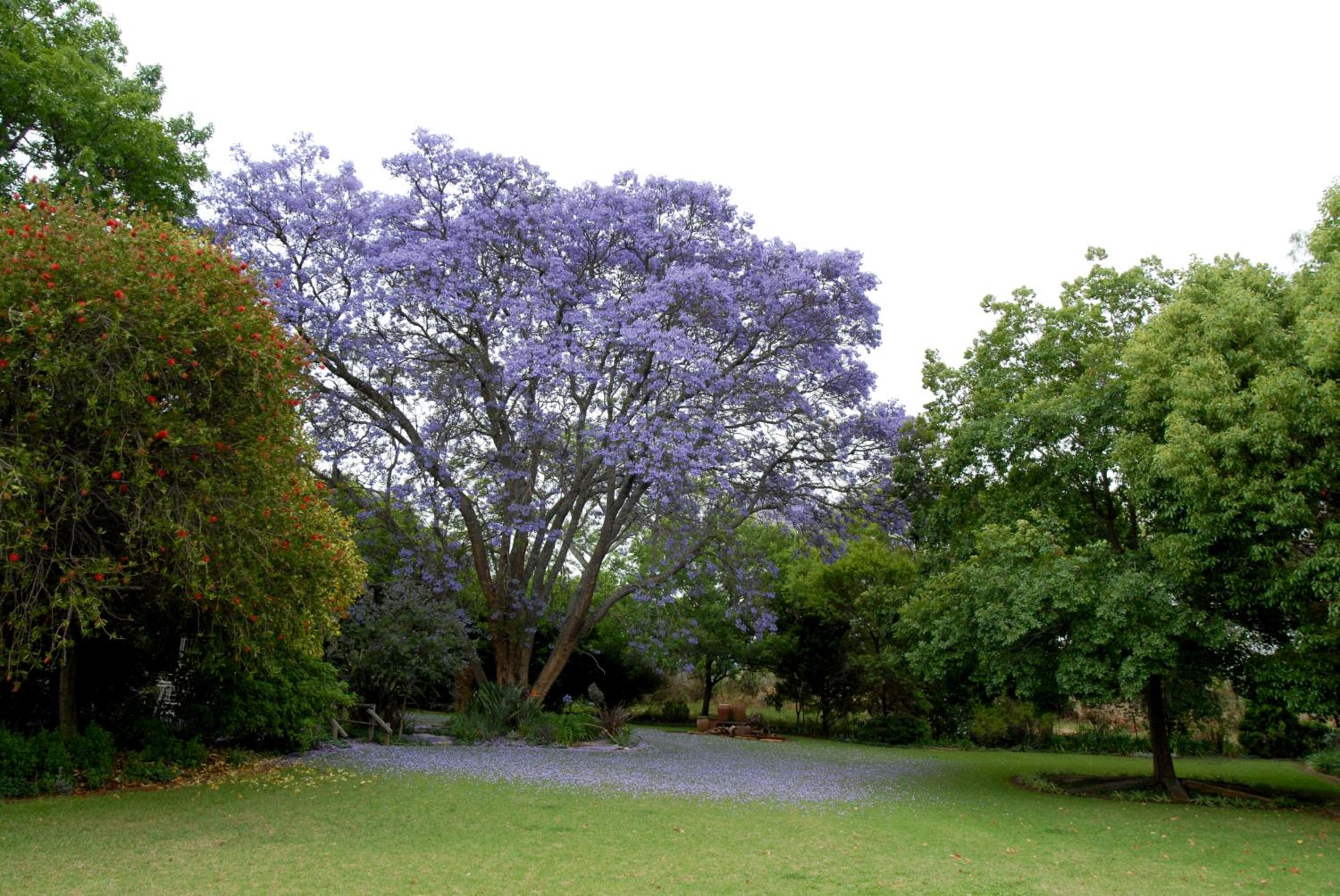 Longtom Farm Guest House 6/23