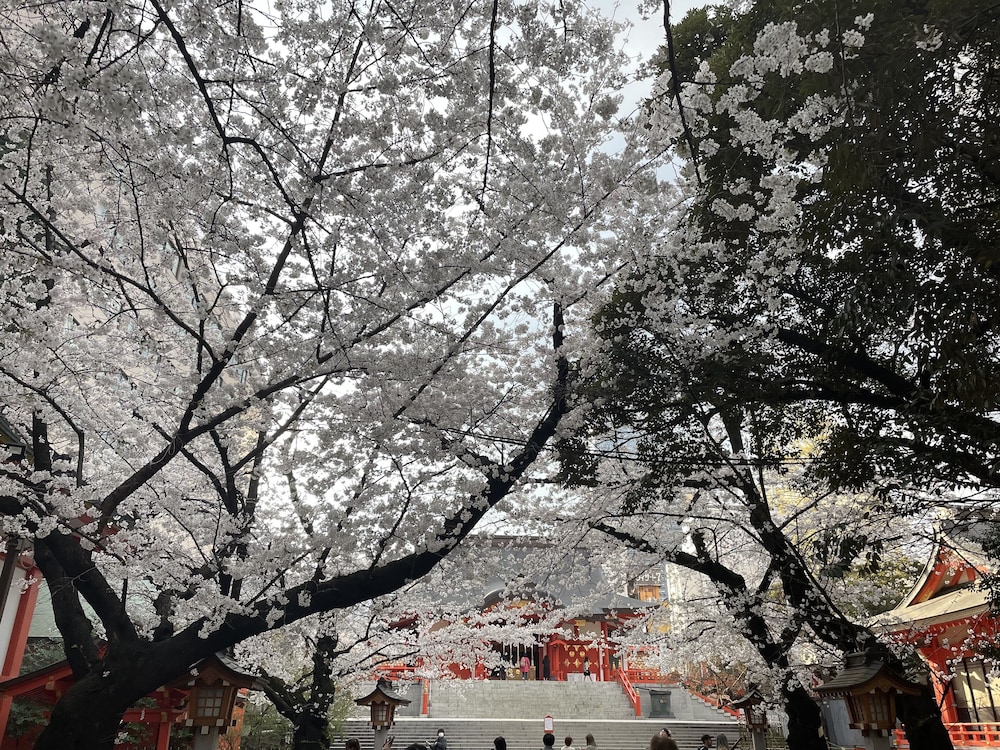 Hotel Amanek Shinjuku Kabukicho 42/45