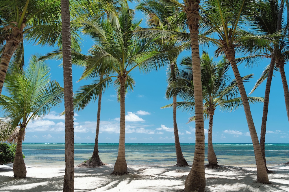 Catalonia Royal Bavaro - Adults Only 40/49