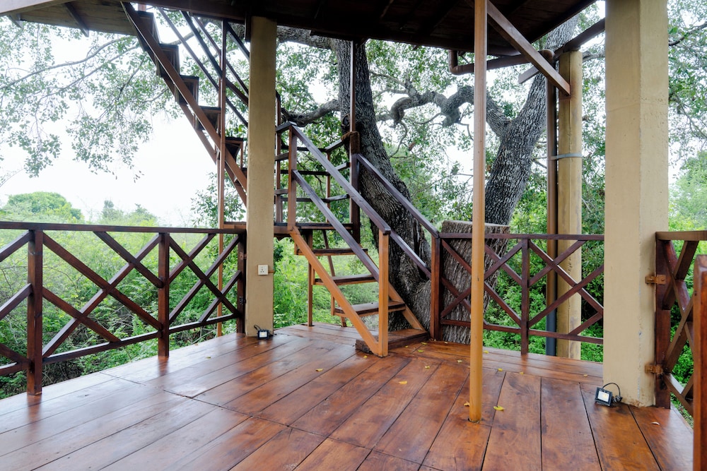 Leopard Nest Luxury Campsite 32/50