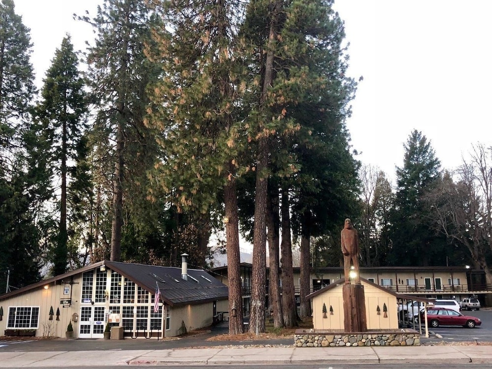 Shasta Inn 38/46