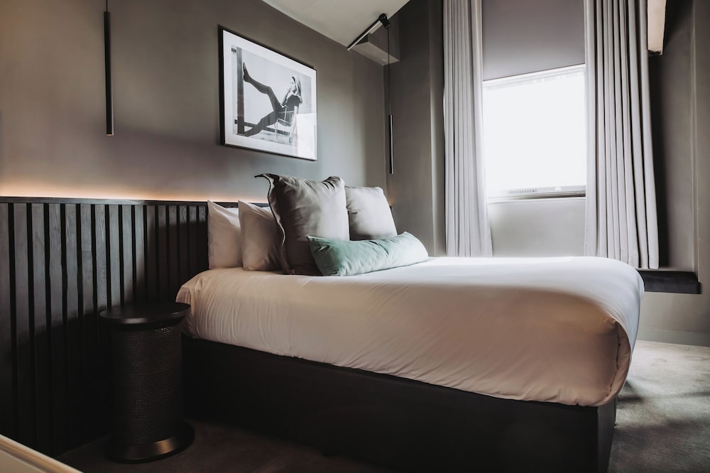 Velvet, Suite, King Bed