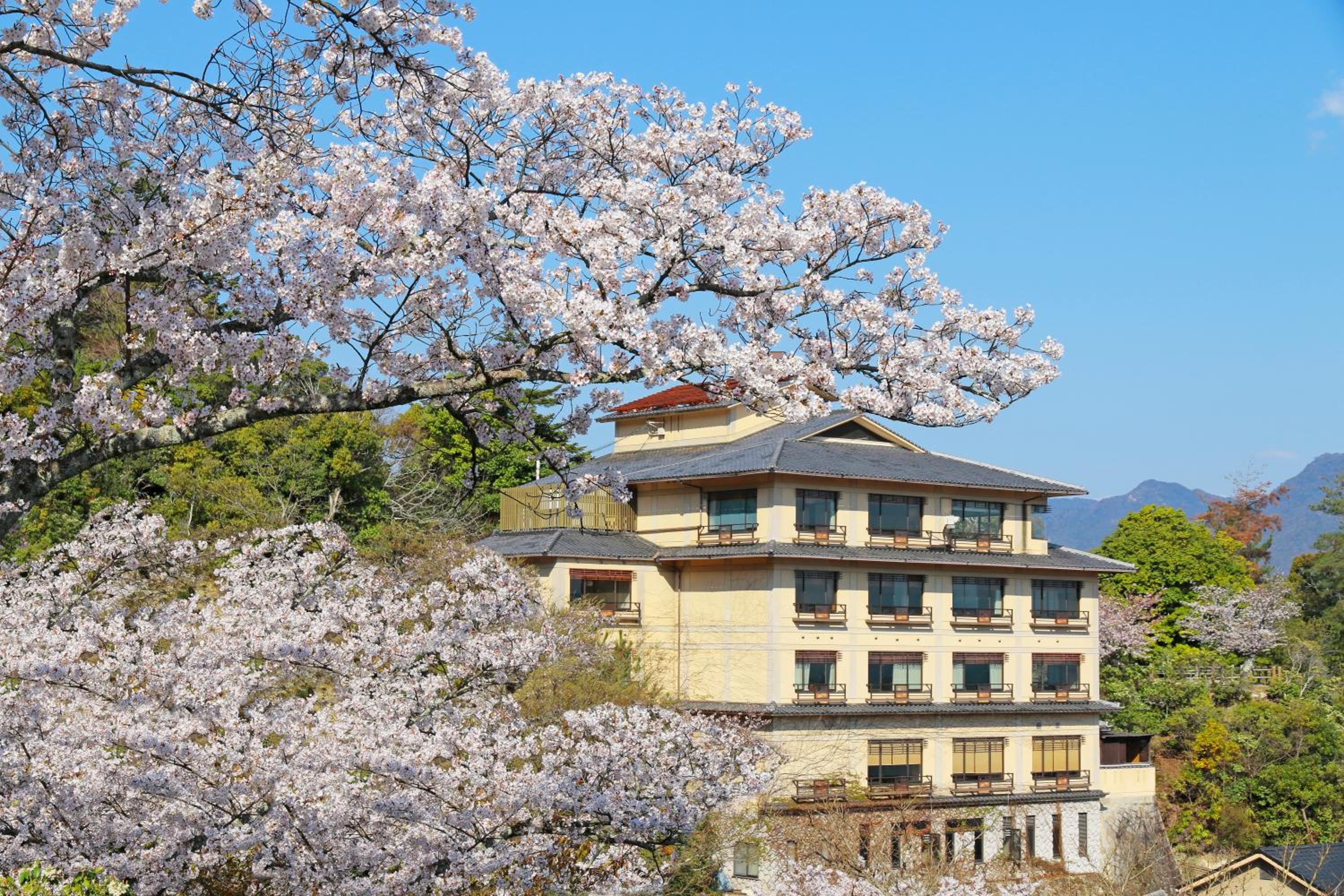Jukeiso in HATSUKAICHI CITY